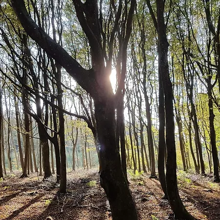 Panoramic Sea View Retreat - By Traum Blokhus
