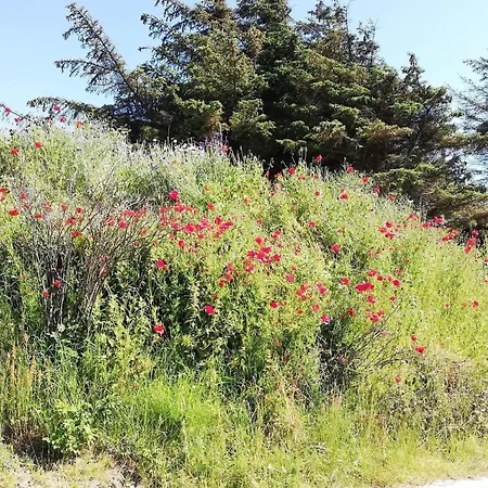 Panoramic Sea View Retreat - By Traum Blokhus